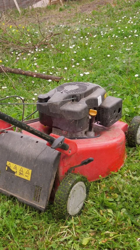 Fall Yard Work: Mowing the Lawn to Keep the Garden Pristine Stock Footage 299938452