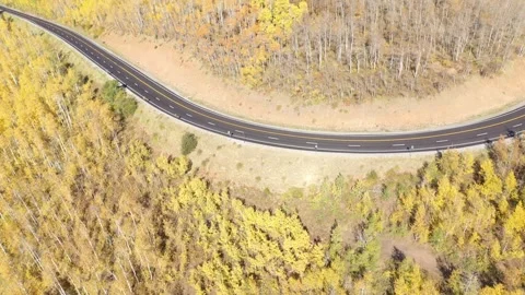 Fall yellow color drone shot 動画素材 296826265