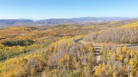 Fall yellow color drone shot 動画素材 296826281
