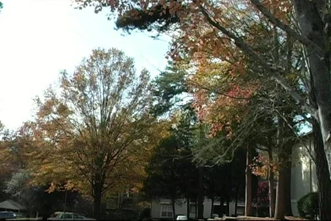 Fall12 库存影片 125192