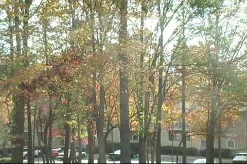 Fall9 库存影片 125259