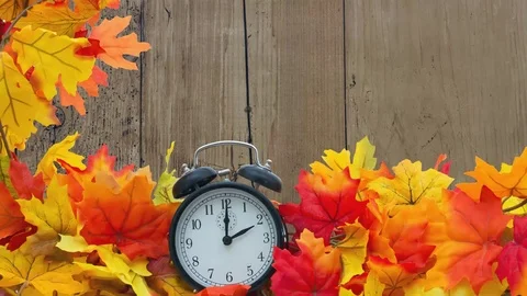 FallBack Stock Footage 81793102