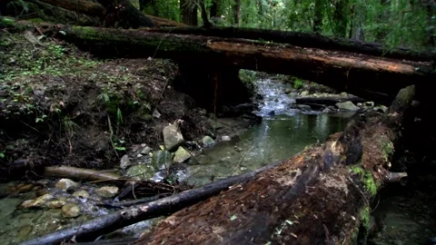 FallCreek1 Stock Footage 252772026