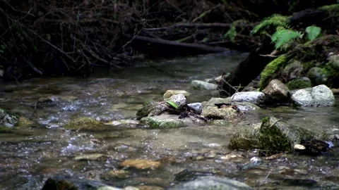 FallCreek3 Video stock 252771968