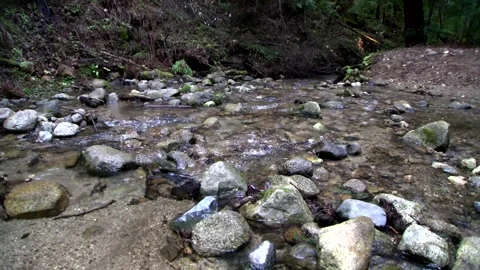 FallCreek4 Video stock 252771983