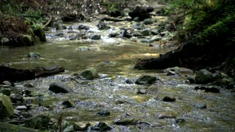 FallCreek7 Vídeos de archivo 252771969