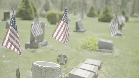 The Fallen 1 Stock Footage 92425803