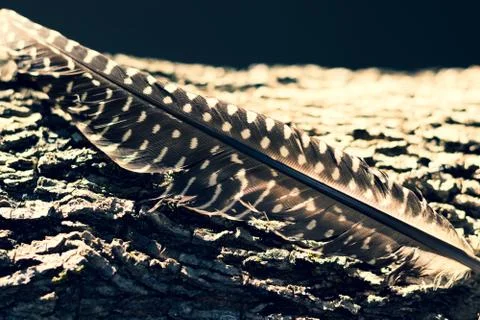 Fallen Angel Foto stock