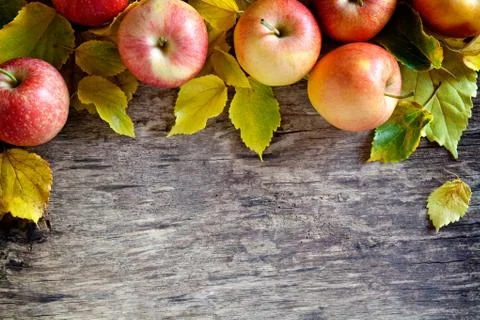 Fallen Apples Backdrop Stock Photos