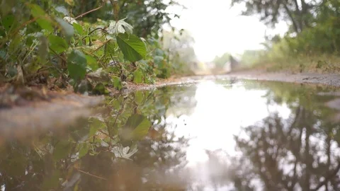 Fallen Autumn Leaves Floating in Puddle Water Under the Rain. Stock Footage 94841966