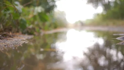 Fallen Autumn Leaves Floating in Puddle Water Under the Rain. Stock Footage 94841983