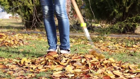 Fallen autumn leaves 스톡 동영상 79759032