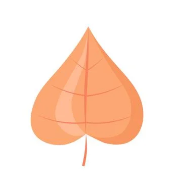 Fallen autumnal leaf. Orange maple leaves and foliage. Autumn and fall season Stock Illustration
