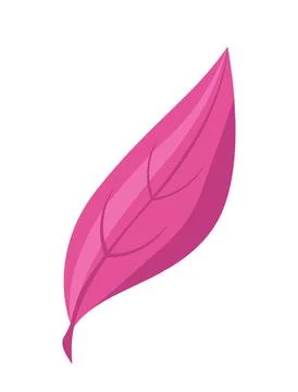 Fallen autumnal leaf. Pink maple leaves and foliage. Autumn and fall season Stock Illustration