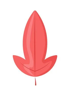 Fallen autumnal leaf. Red maple leaves and foliage. Autumn and fall season Stock Illustration
