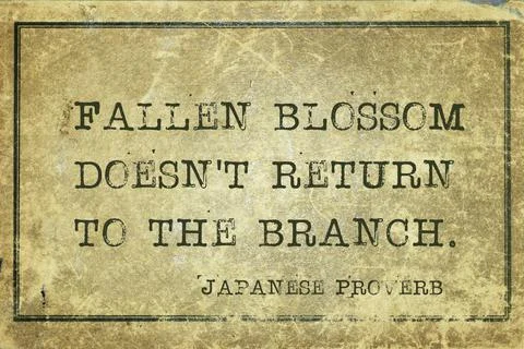 Fallen blossom JP Stock Illustration