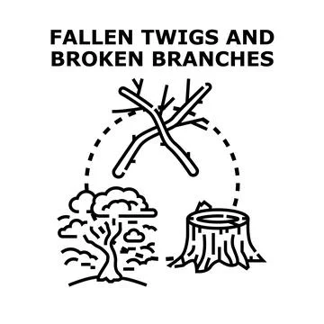 Fallen branches twigs and tree stumps concept Stock Illustration
