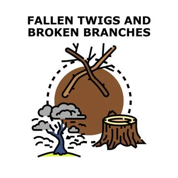 Fallen branches twigs and tree stumps concept Stock Illustration