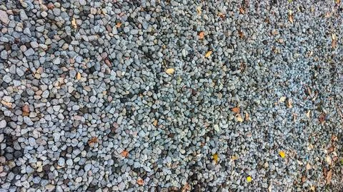 Fallen brown leaves rest on rough gray pebbles. Stock Photos