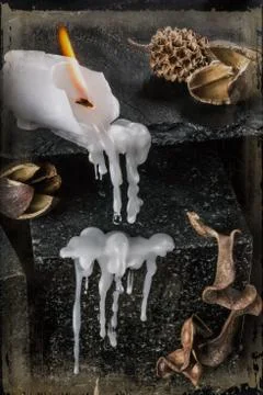 Fallen Candle Stock Photos