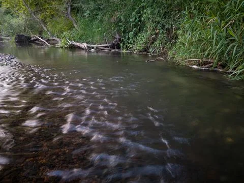 Fallen dead trees in shallow rapid water near steep riverbank during summer Stock Photos