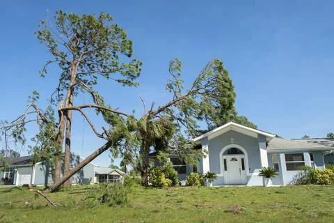 Fallen down big tree on a house roof after hurricane in Florida. Consequences of Stock Photos