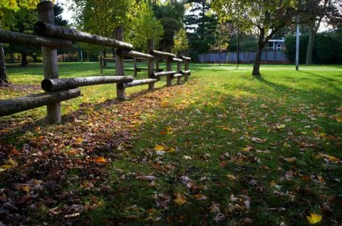 Fallen down leaves Stock Photos