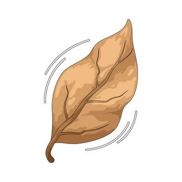 Fallen dry leaf illustration Stockillustratie