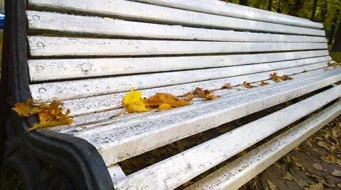Fallen dry orange yellow maple leaves on lonely empty old white wooden bench Stock Photos