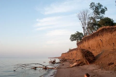 A fallen dry tree on a sandy steep seashore Stock Photos
