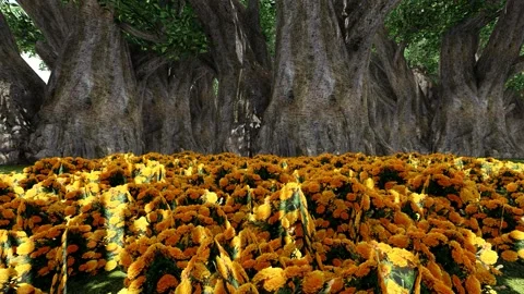 Fallen Flower 库存影片 340562701