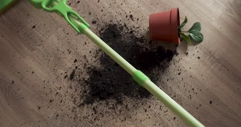 Fallen flower pot. Mop the floor Видео 168472437