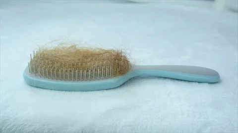 Fallen hair on the comb. Selective focus. Stock Footage 224363510
