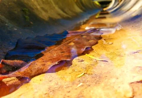 Fallen leaf in stream, fall season is coming Stock Photos