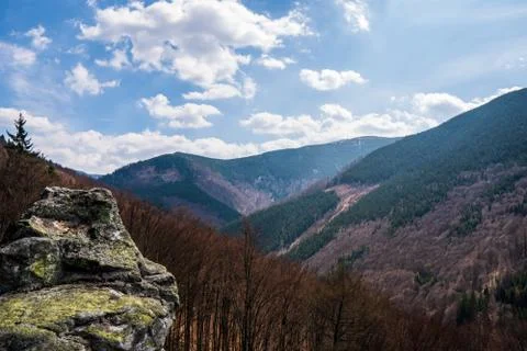 Fallen leafed trees in the mountains with a rock in the foreground, czech jes Stock Photos