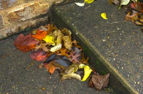 Fallen leaves accumulate on steps of stone stairs. Stock-Fotos