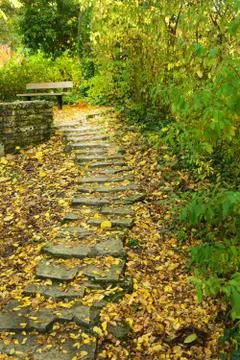 Fallen leaves accumulate on steps of stone stairs. Stock-Fotos