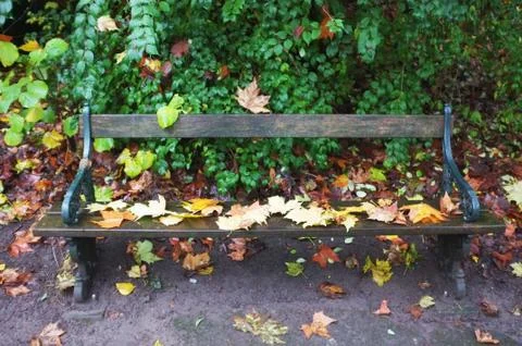 Fallen leaves on bench Stock Photos