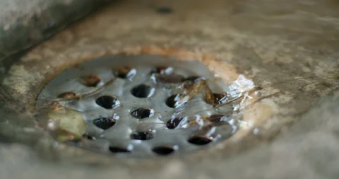 Fallen leaves blocking a water drain cover during rainfall. Stock Footage 316487222