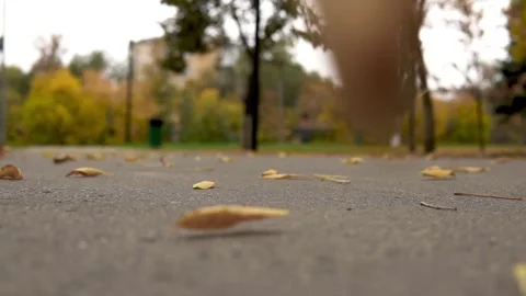 Fallen leaves blown by the wind on the road 動画素材 285814392