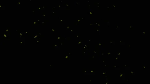 Fallen leaves falling down. 스톡 동영상 150433821