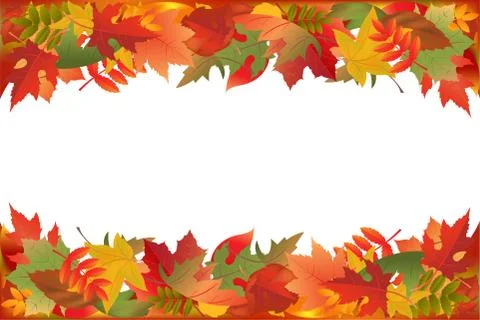 Fallen leaves Stock Illustration