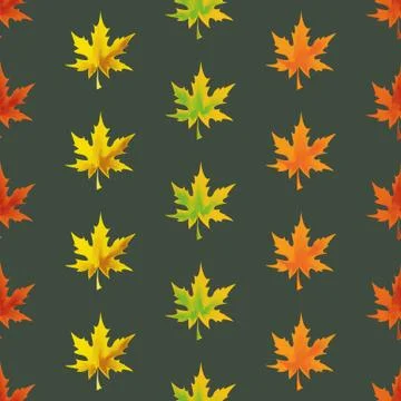 Fallen leaves only Stock Illustration