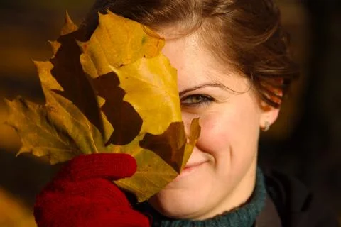Fallen leaves Stock Photos
