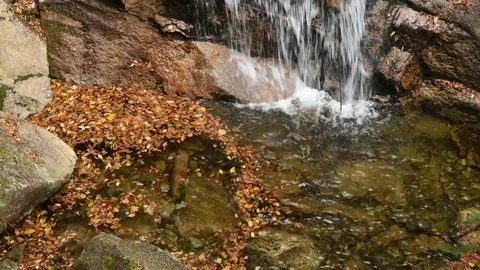 Fallen leaves rotate in small waterfall, Franconia Notch Stock Footage 81143562