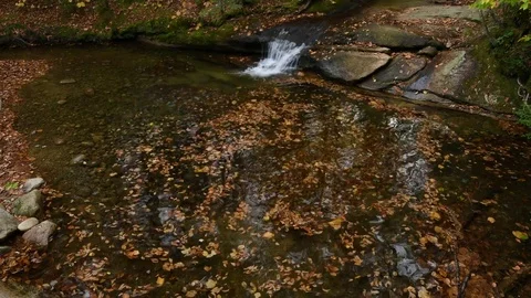 Fallen leaves rotate in small waterfall, Franconia Notch Video stock 81143897