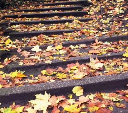 Fallen leaves on steps Stock Photos