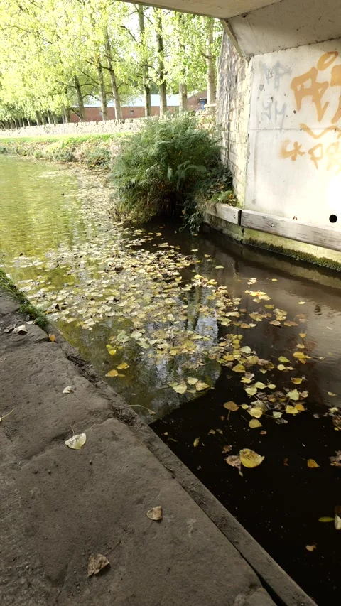 Fallen leaves under canal bridge Stock Footage 163828091