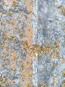Fallen leaves on weathered surface with painted lines Stock Photos