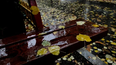 Fallen leaves on a wet bench in the rain. Autumn rainy day. Stock Footage 143773704